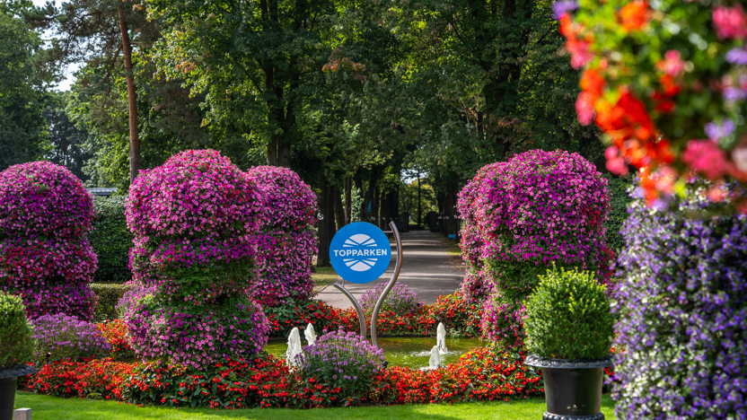 Landgoed de Scheleberg