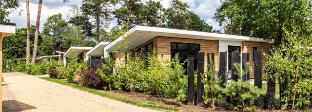 anwb vakantie nederlandse kust