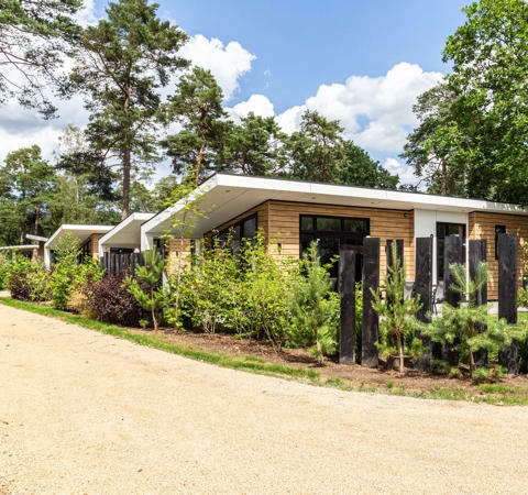 Resort Veluwe Silva Exterieur 1