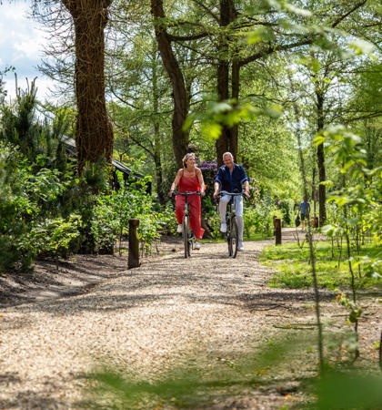 Residence Lage Vuursche Vakantiegasten Fietsen