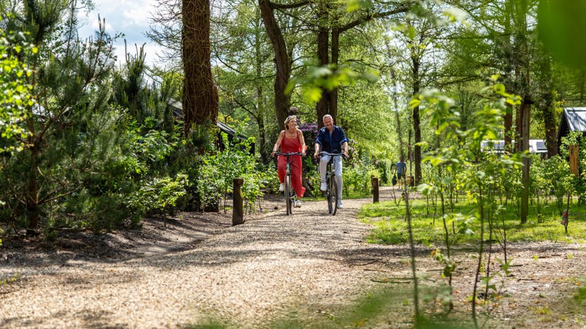 Résidence Lage Vuursche – afbeelding 5