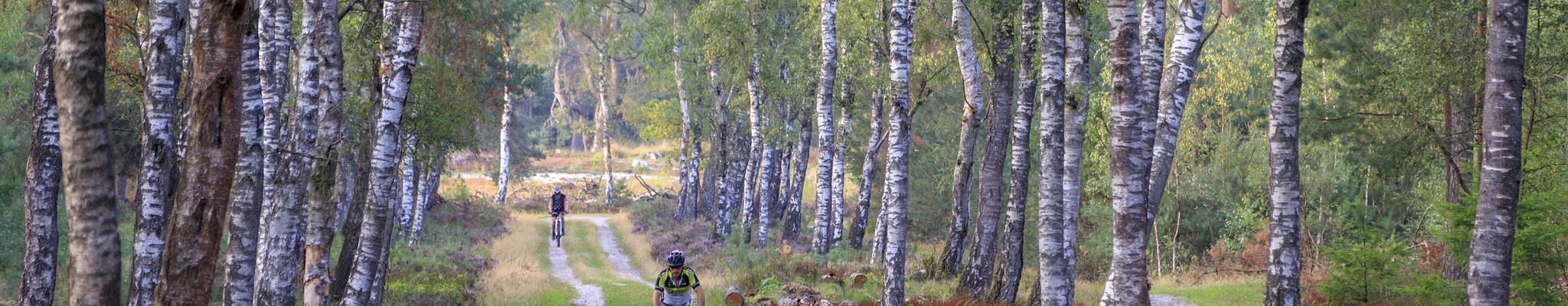 Dit zijn de mooiste MTB-routes van Nederland