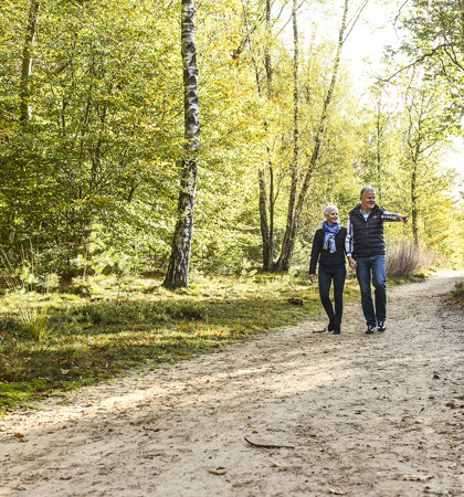 Vvv Op De Heuvelrug Wandelen Herfst 17 99Aac5b6 B56d 48Bc Bb77 Ba4d4a6afcca